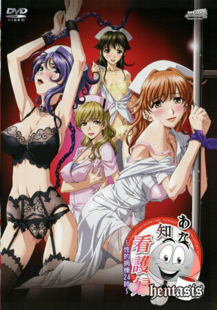 Медсёстры - секс уроки в полночь / Anata no Shiranai Kangofu: Seiteki Byoutou 24 Ji (2009г.)